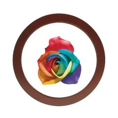 rainbow_rose_wht_background_jewelry_case
